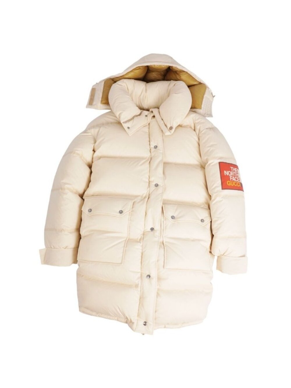 Gucci the North Face Coat